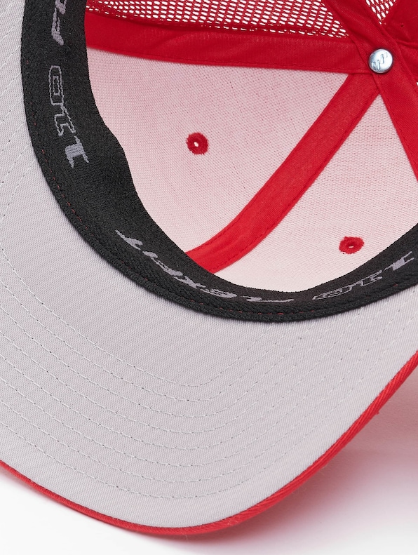 110 Mesh-2