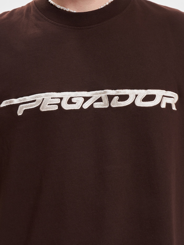 PEGADOR Manor Oversized T-Shirt-3