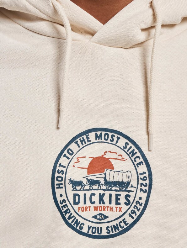 Dickies Greensburg Hoody-3