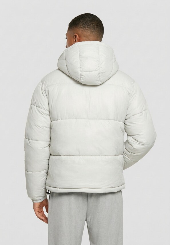 Shiny Puffer -1