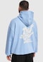 blue_152614