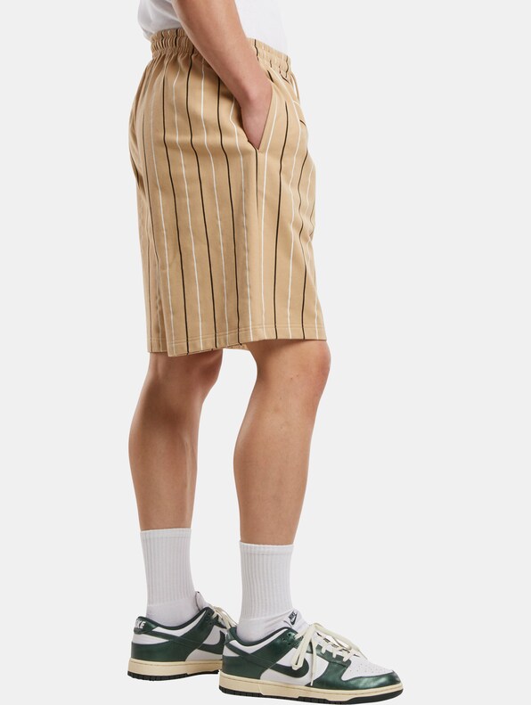 Urban Classics Printed Pinstripe Shorts-3