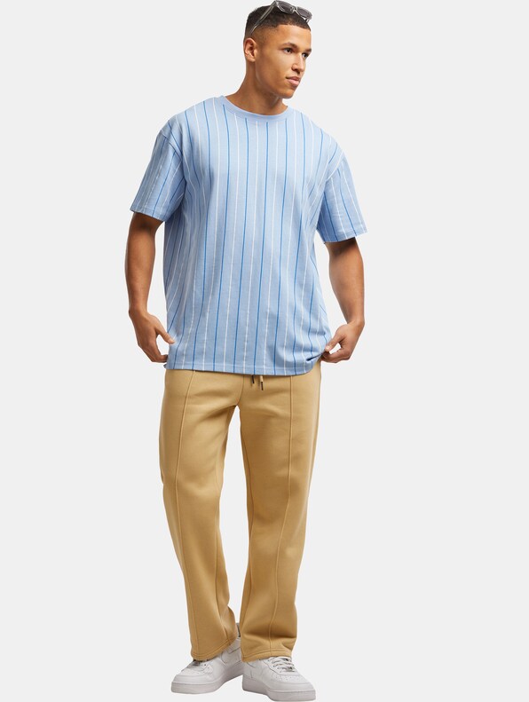 Printed Pinstripe -3