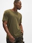 olive_38130