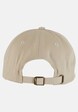 Mister Tee Upscale Theorie de Chaos Dad Cap-1