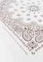 white_57951