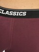 Organic Boxer Shorts 5-Pack-6