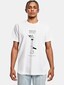 white_146230
