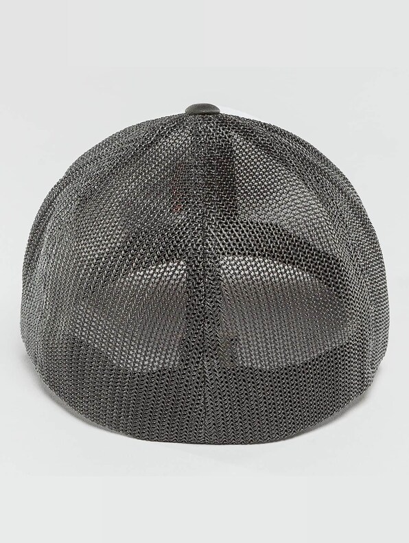 Mesh-1