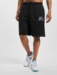 FM232-005-1 FUBU Varsity Mesh Shorts-2