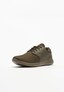 olive_10270
