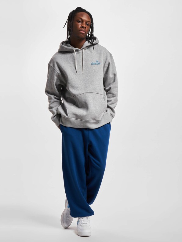 Levis Relaxed Graphic Hoodie-6