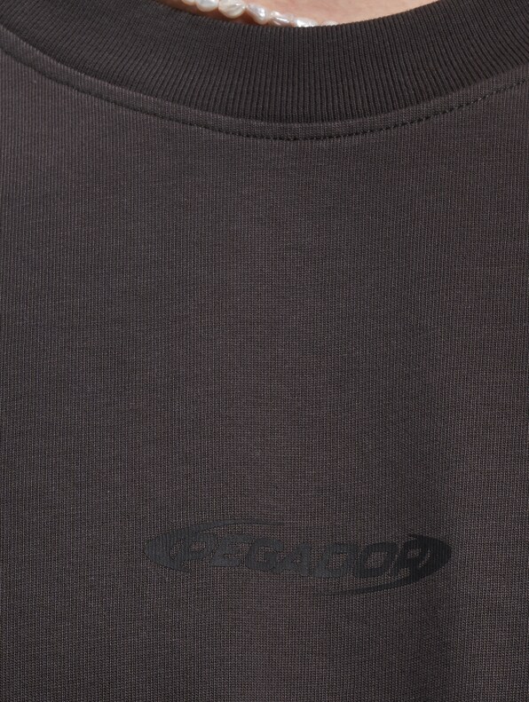 PEGADOR Furber Oversized T-Shirt-3
