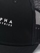 Alpha Label-3