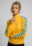 yellow_206621