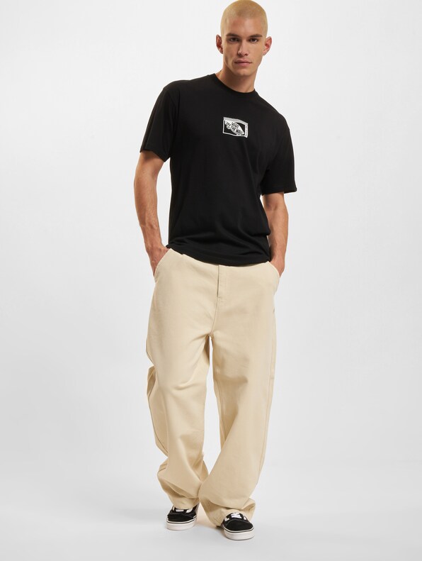 Francis Wide Canvas -6