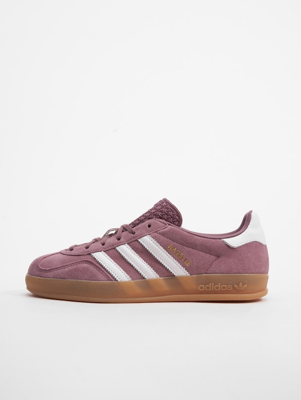 Gazelle Indoor-1
