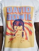David Bowie Star Dust-3