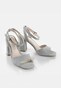 silver_151394