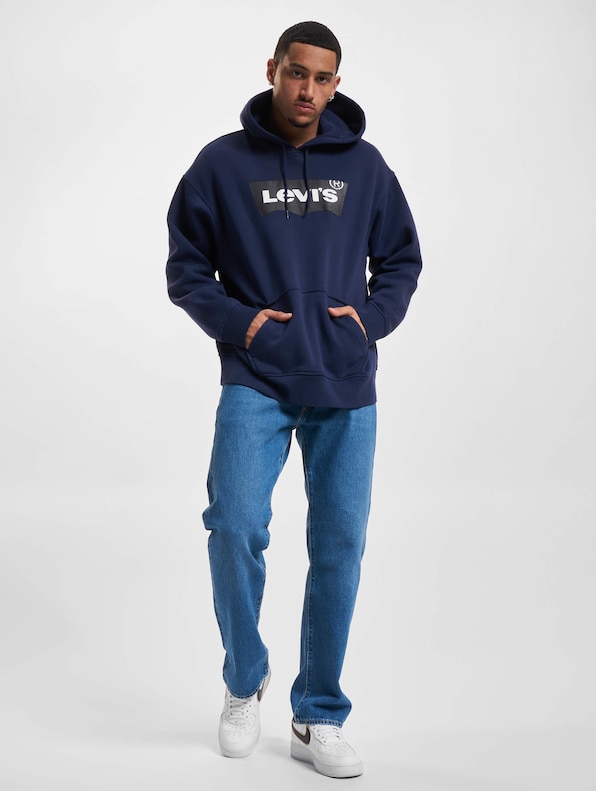 Levis T3 Relaxd Graphic Hoodie-4