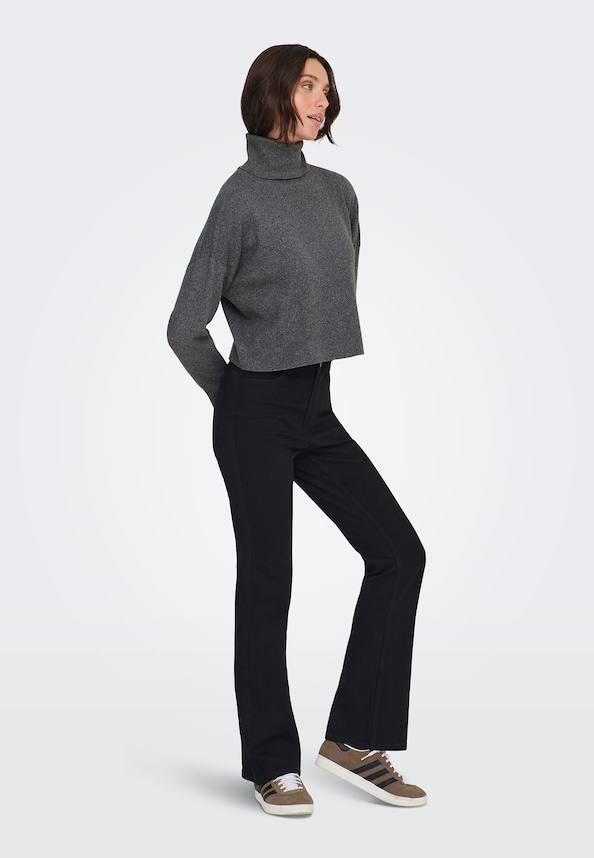 ONLAMA LIFE LS RIB ROLLNECK CC KNT-2