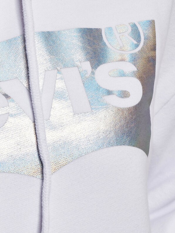 Levis Graphic Standard Hoodie-4