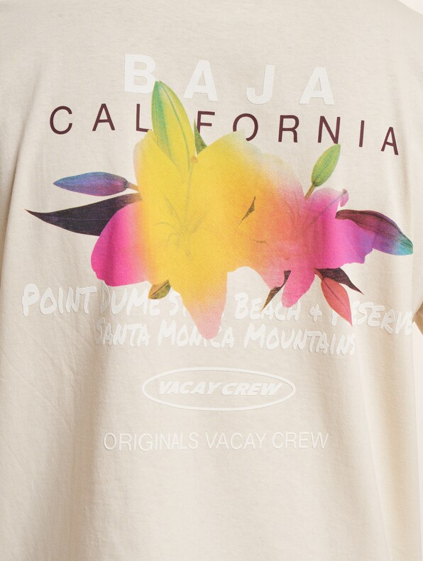 Aruba Gradient Back Crew Neck-3