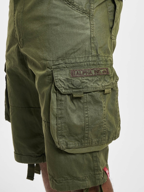 Alpha Industries Jet Shorts-4