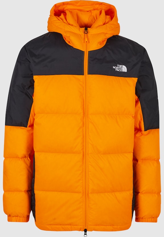 The North Face Diablo Down Weste-4