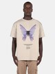 METAMORPHOSE V.6-0