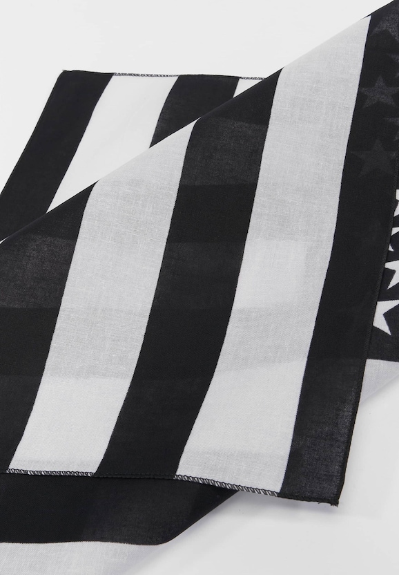 Stars & Stripes-3