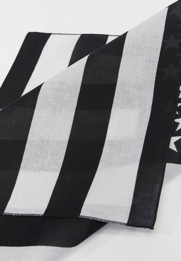 Stars & Stripes-3