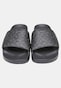 black_154031
