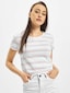 white_6504