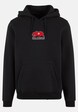 California Bear Hoody-2