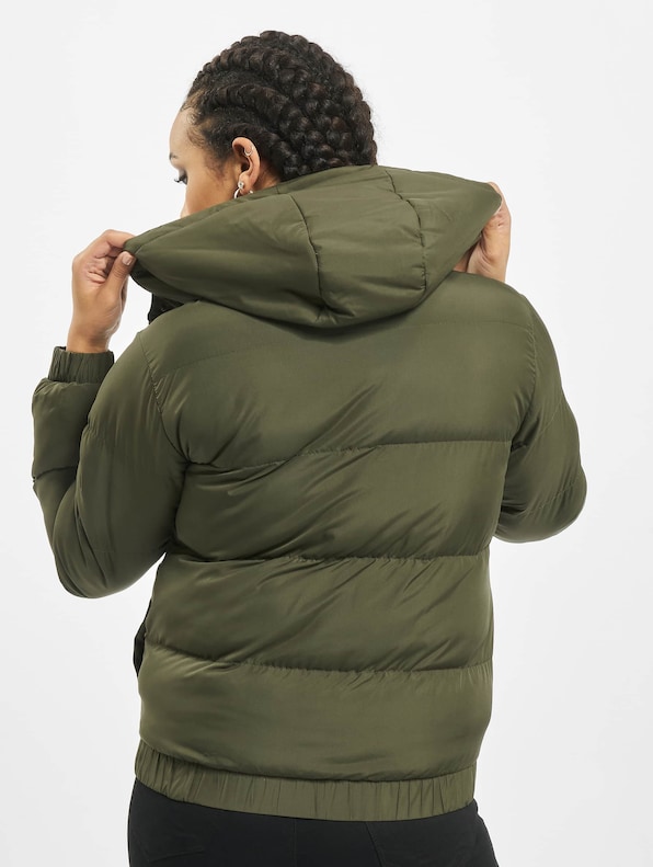 Hooded Puffer -1
