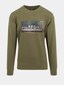 olive_17241