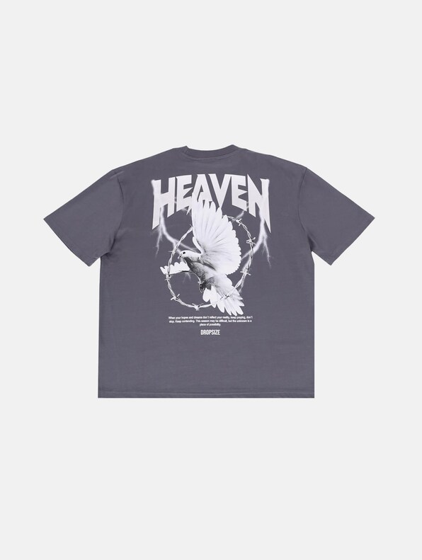 HEAVY OVERSIZED HEAVEN DOVE-1