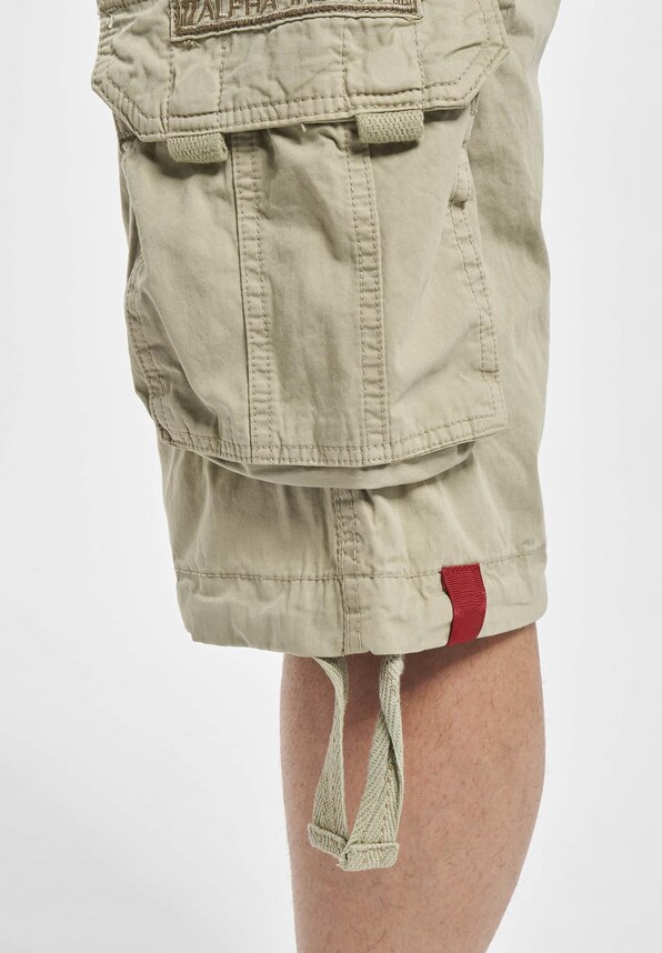 Alpha Industries Jet Shorts-3