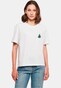white_147072