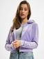 violet_5484
