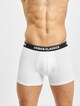 3-Pack-4