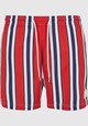 Retro Striped Swim Shorts-3