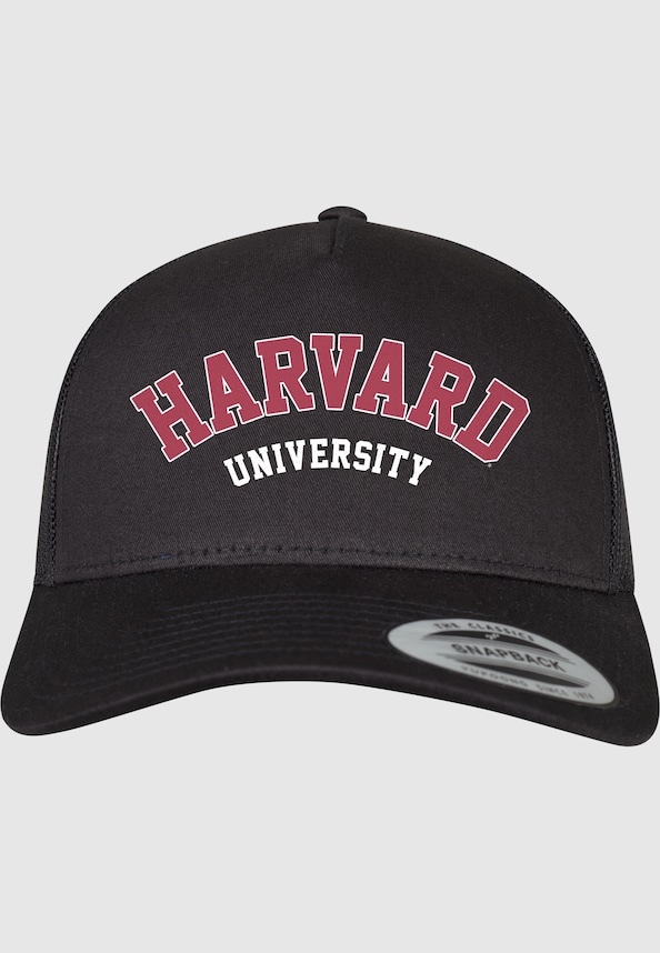 Harvard University-0