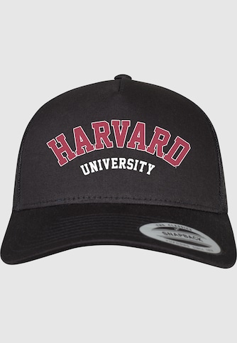 Harvard University