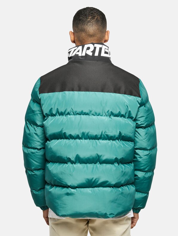 Logo Puffer-1