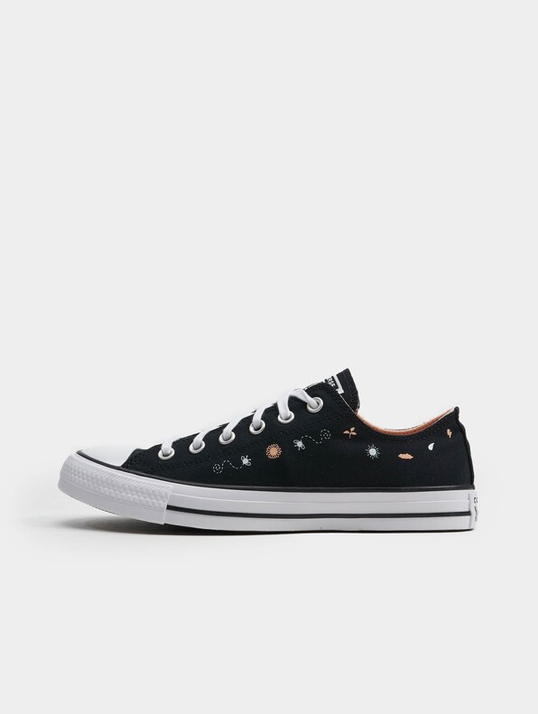 Chuck Taylor All Star Summer-1