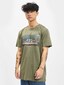 olive_18873