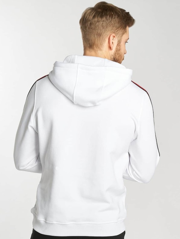 Stripe-1