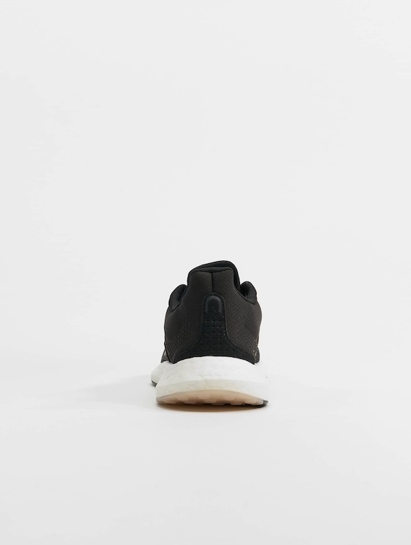 Pureboost 21-5